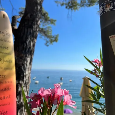 Appartamento Aurora *